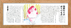 自然からのおくりもの