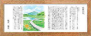 尾瀬の水