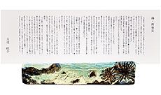 海・再発見