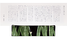 関わりの深い川