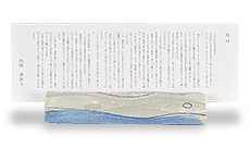 H2O